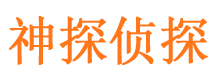 维扬市侦探公司